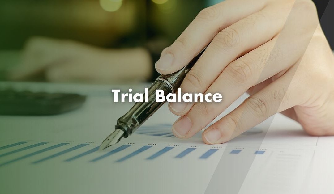 What is a Trial Balance?